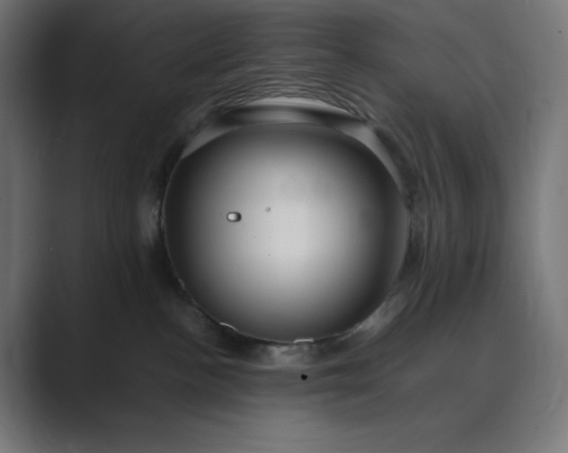 X0000089370188200706291254