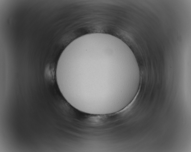 X0000089370190200706291254