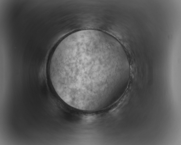 X0000089370196200706291253
