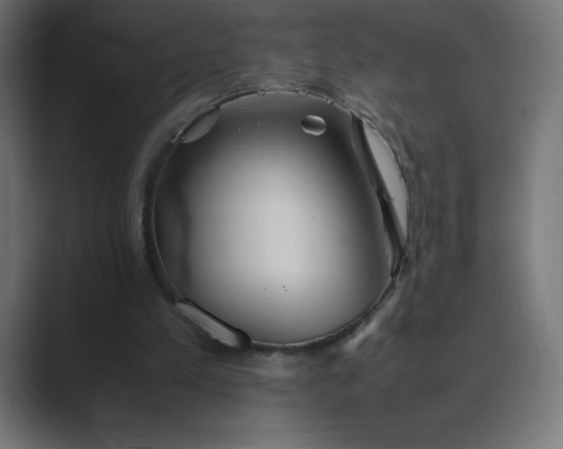 X0000089370197200706291253