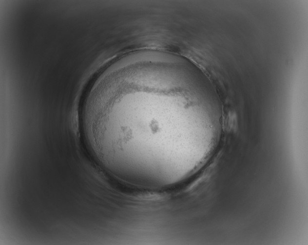 X0000089370198200706291253
