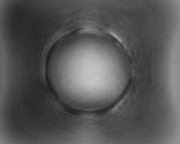 X0000089370199200706291253