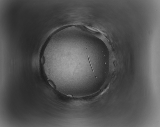 X0000089370200200706291253