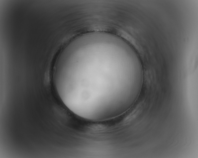 X0000089370203200706291253