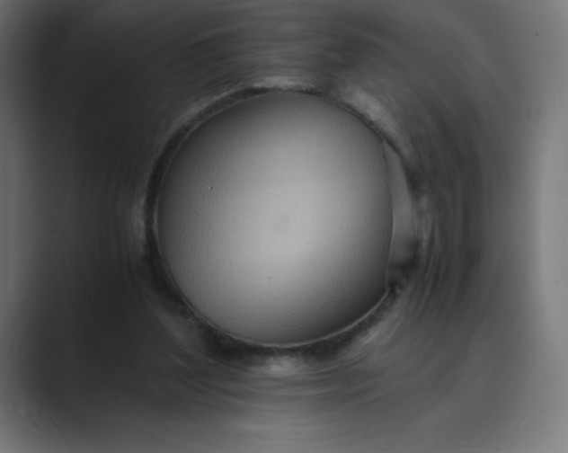 X0000089370204200706291253