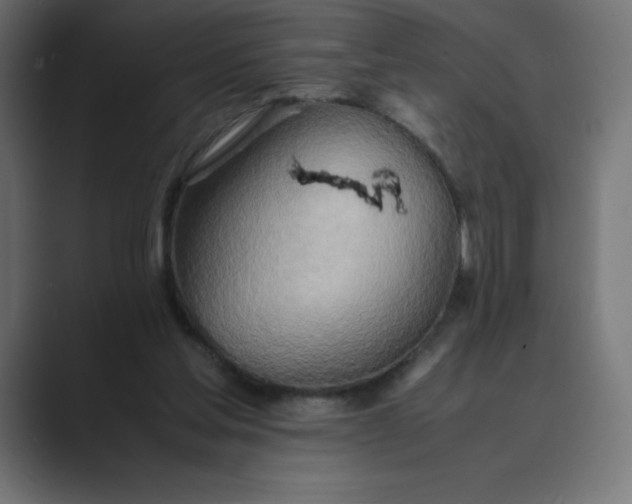 X0000089370205200706291253