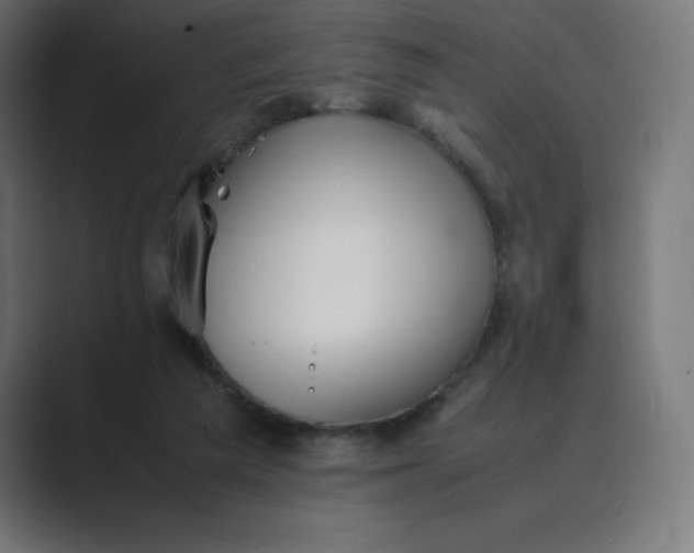 X0000089370209200706291253