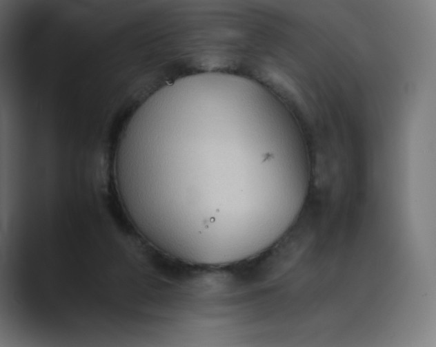 X0000089370210200706291253