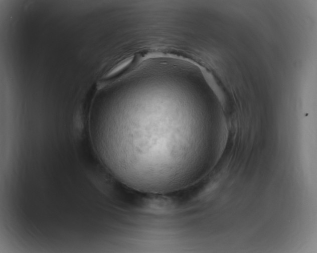 X0000089370215200706291253