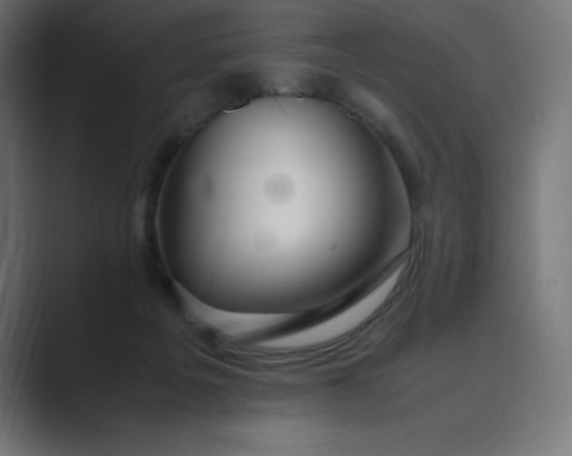 X0000089370217200706291253
