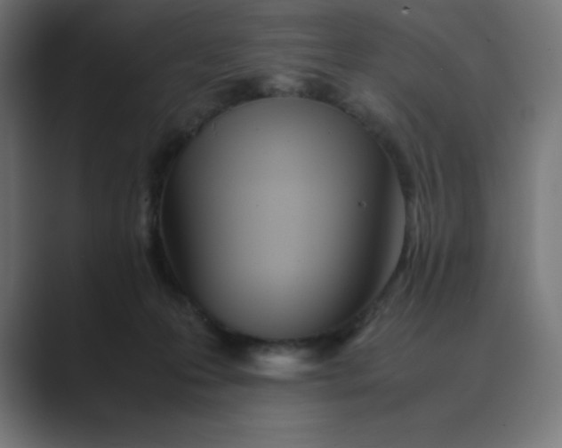 X0000089370223200706291253