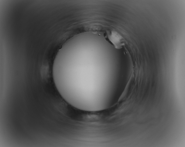 X0000089370224200706291253