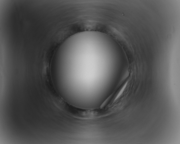 X0000089370225200706291253