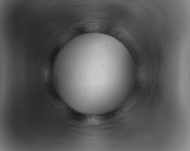 X0000089370226200706291253