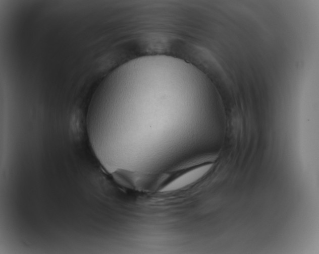 X0000089370228200706291253