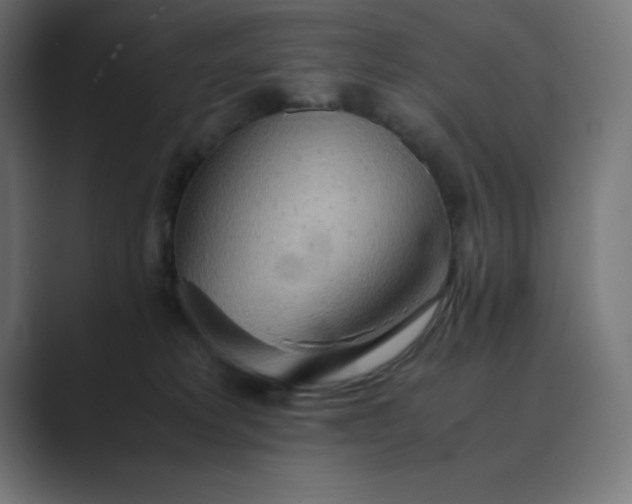 X0000089370229200706291253