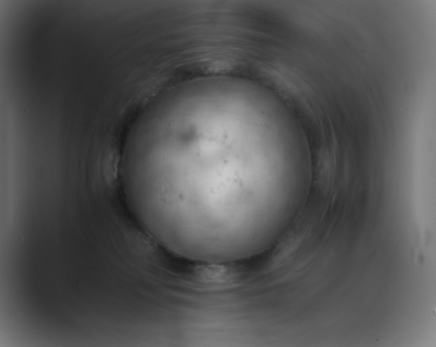 X0000089370230200706291253