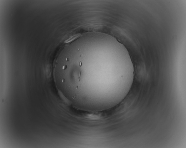 X0000089370232200706291253
