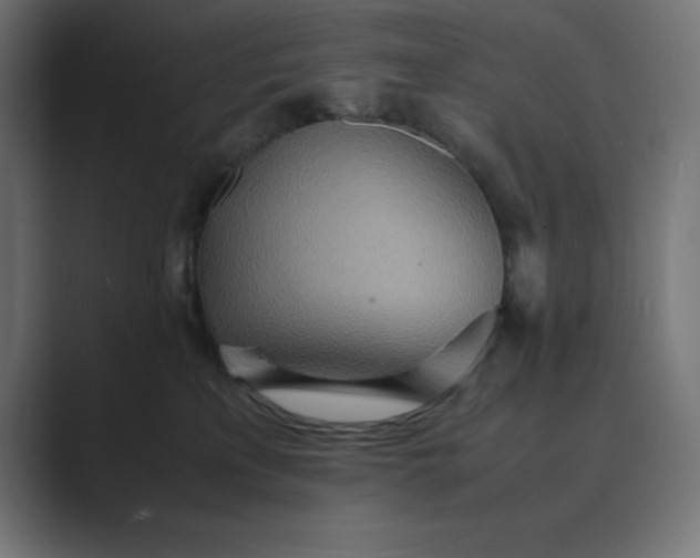X0000089370233200706291253