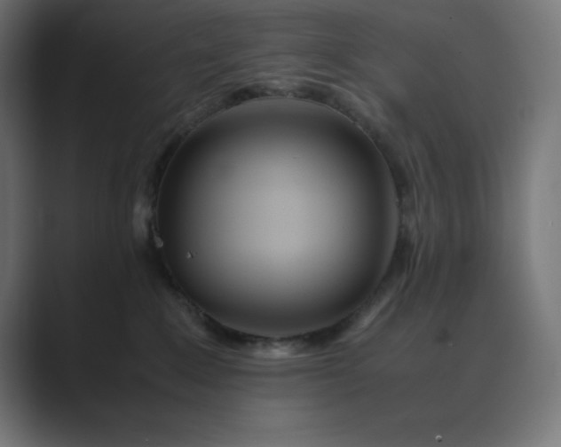 X0000089370235200706291253