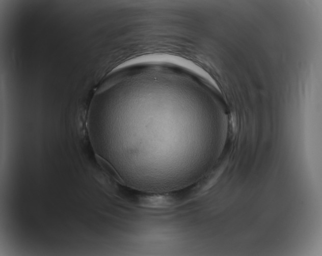 X0000089370237200706291253