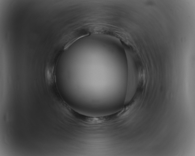 X0000089370239200706291253