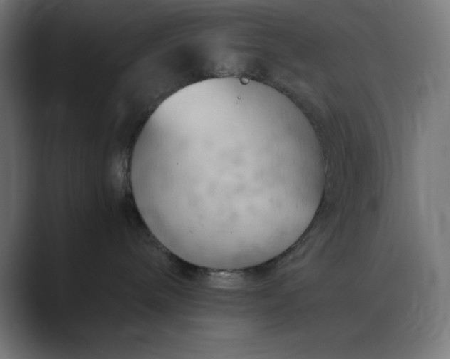 X0000089370240200706291253