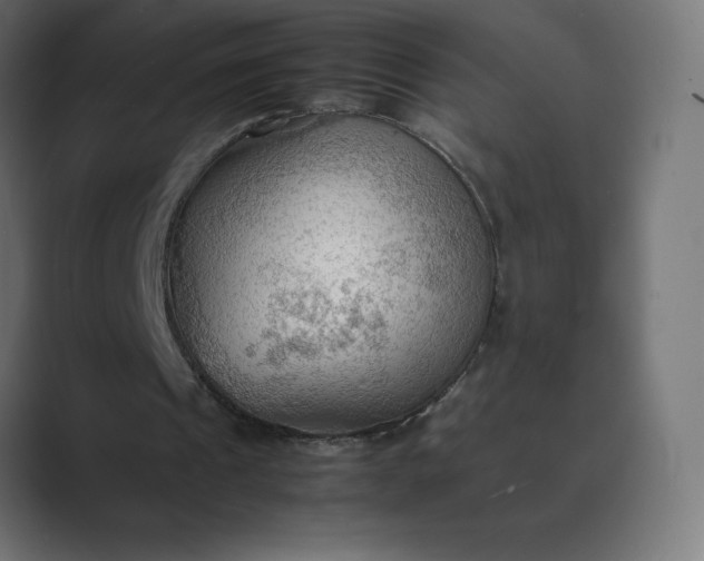 X0000089370241200706291252