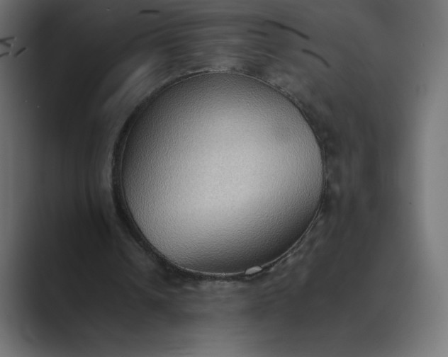 X0000089370242200706291252