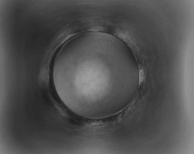 X0000089370243200706291252