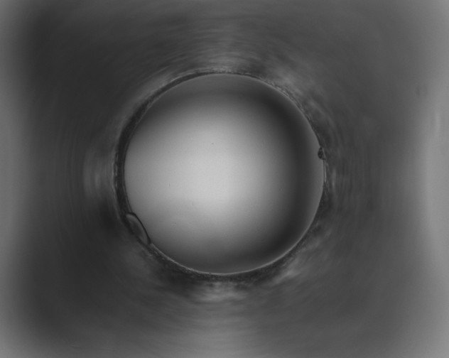 X0000089370244200706291252