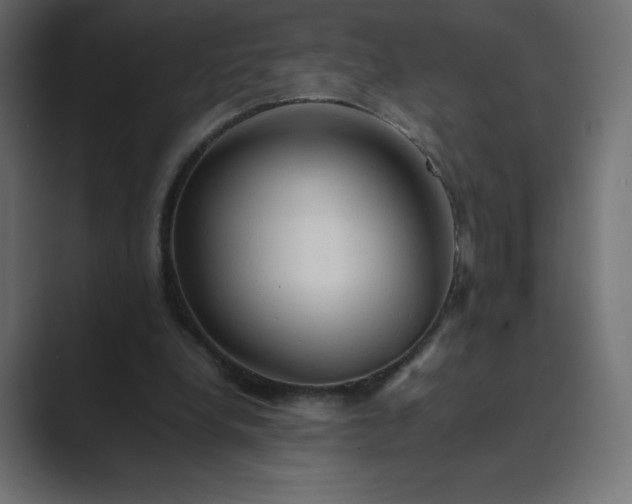 X0000089370248200706291252