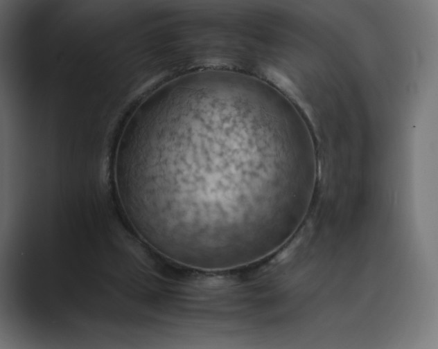 X0000089370249200706291252