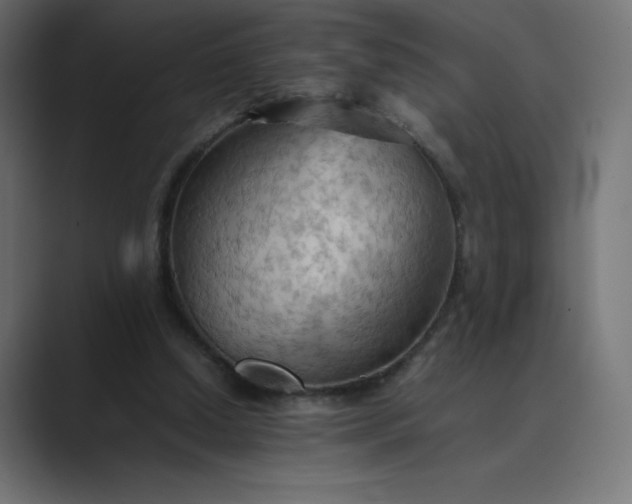 X0000089370250200706291252