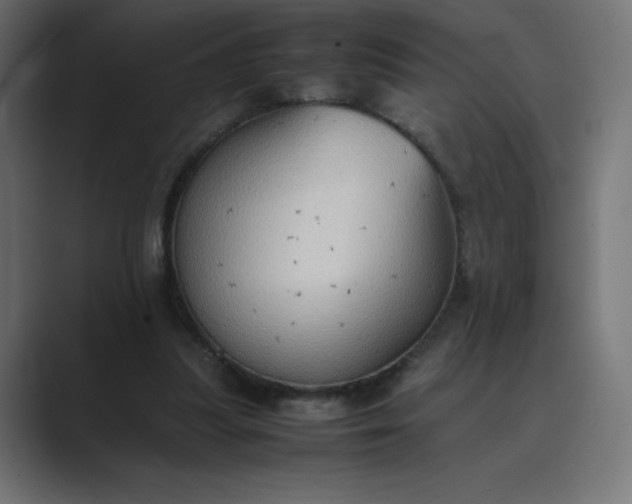 X0000089370251200706291252