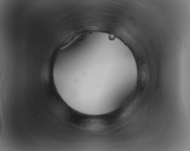 X0000089370255200706291252