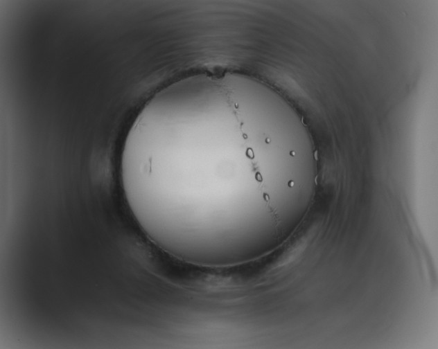 X0000089370256200706291252