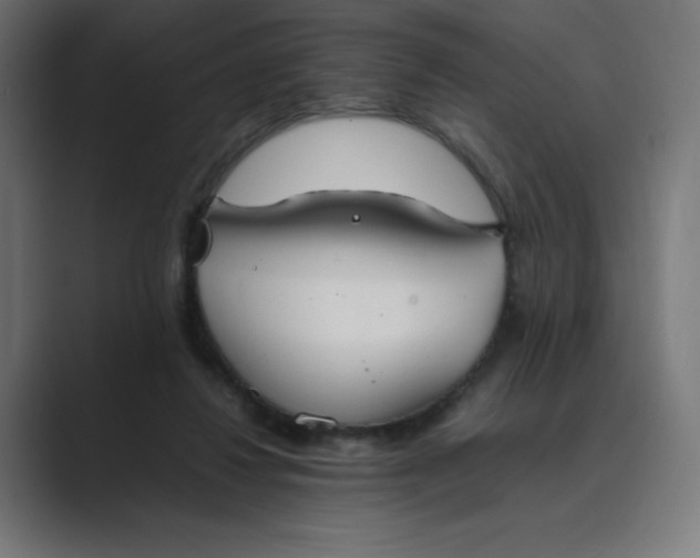 X0000089370260200706291252