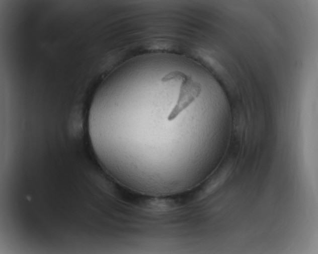 X0000089370261200706291252