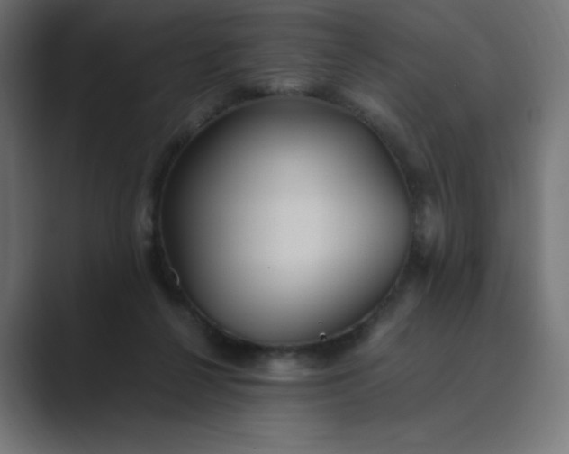 X0000089370264200706291252