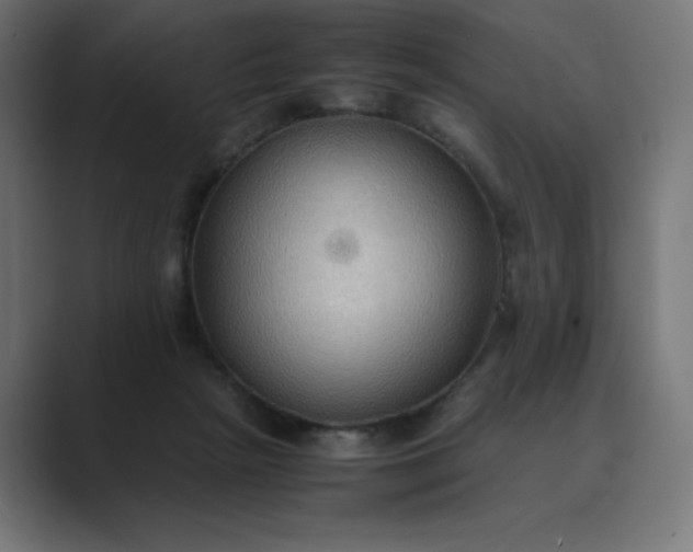 X0000089370265200706291252