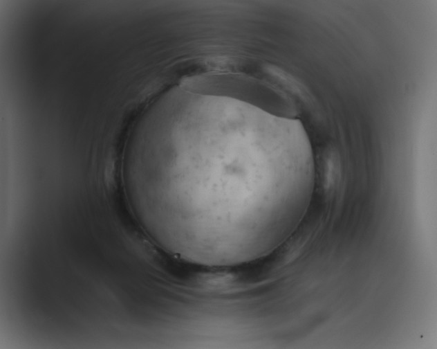 X0000089370266200706291252