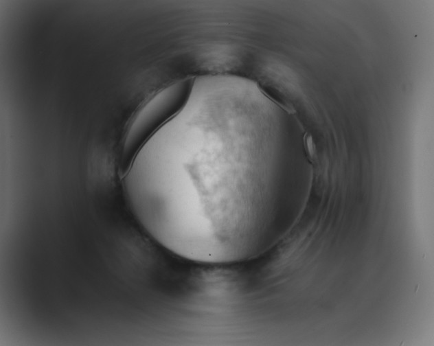 X0000089370268200706291252