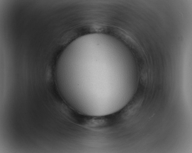 X0000089370270200706291252