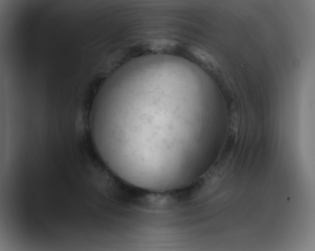 X0000089370272200706291252