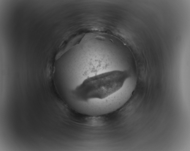 X0000089370273200706291252
