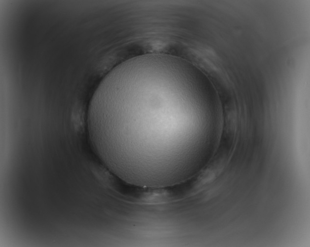 X0000089370274200706291252