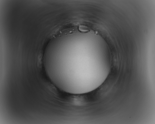 X0000089370275200706291252