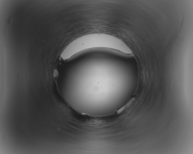 X0000089370276200706291252