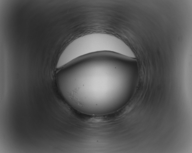 X0000089370280200706291252